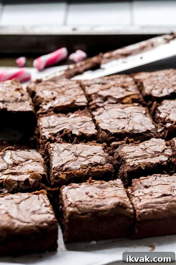 Zoom in image of Candy Cane Fudge Brownies pieces 