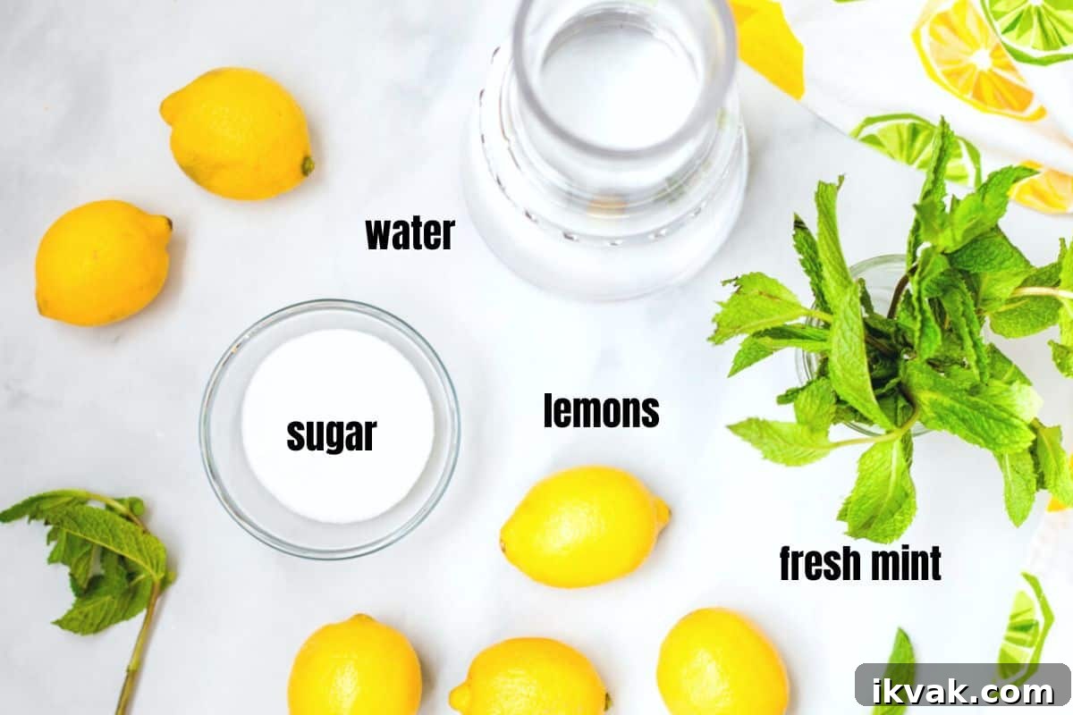 Ingredients for lemonade with mint on a counter.