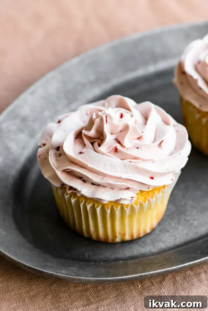 Two lemon cupcakes with raspberry buttercream frosting sitting on an oval metal plate.