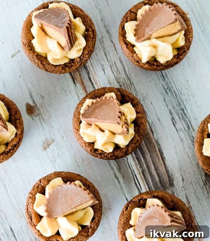 overhead shot of chocolate cookie cups filled with peanut butter mousse