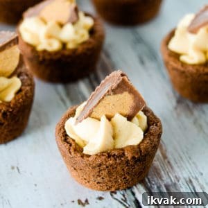 chocolate cookie cups with peanut butter mousse