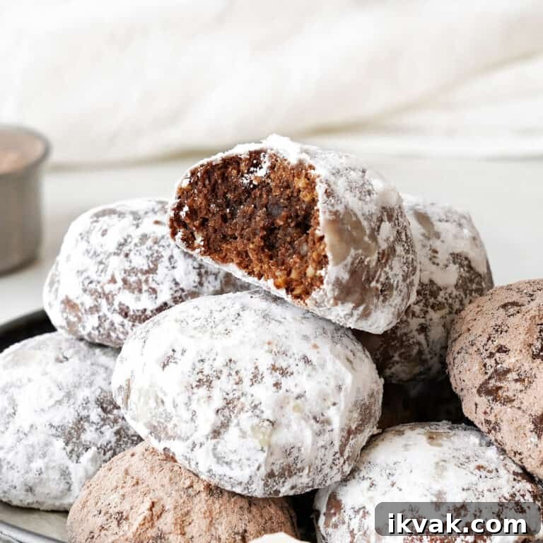 Pile of chocolate powdered sugar cookies, top one is bitten. White background.