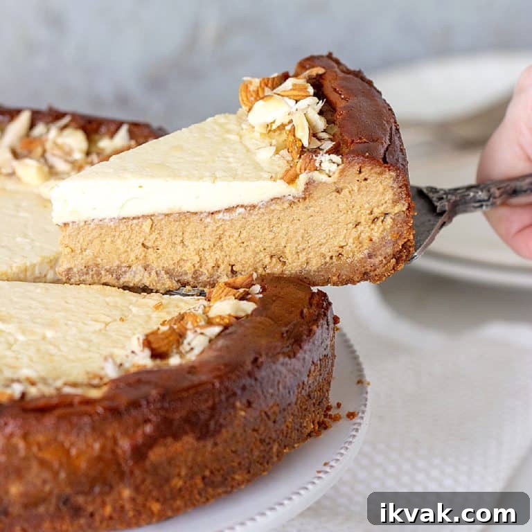 Hand lifting slice of brown sugar cheesecake with a cake server from whole cheesecake on a white plate. Grey background.