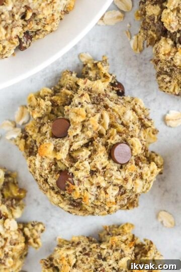 Breakfast oatmeal cookies with chocolate chips laid out on a gray surface.