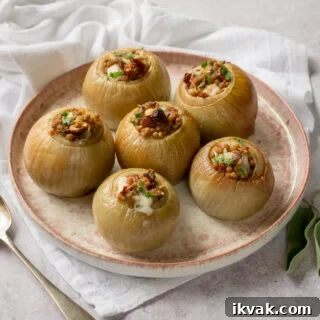 stuffed onions