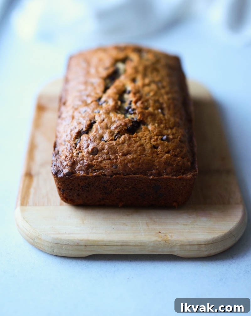 Grandma’s Chocolate Chip Banana Bread Recipe 2 chocolate chip banana bread
