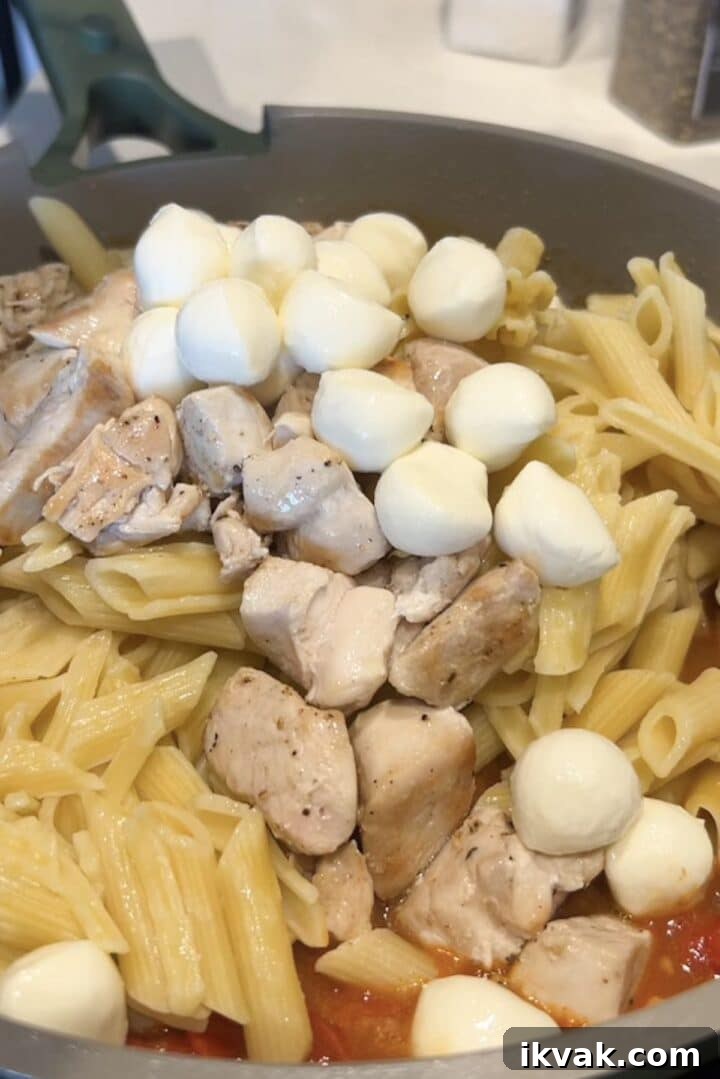 Chicken, pasta and bocconcini added to tomato sauce in a large skillet, unmixed