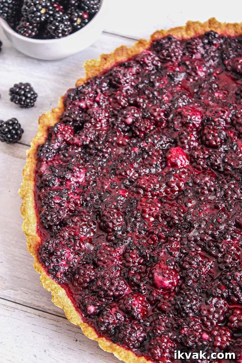 Blackberry tart baked and ready to eat surrounded by fresh blackberries.