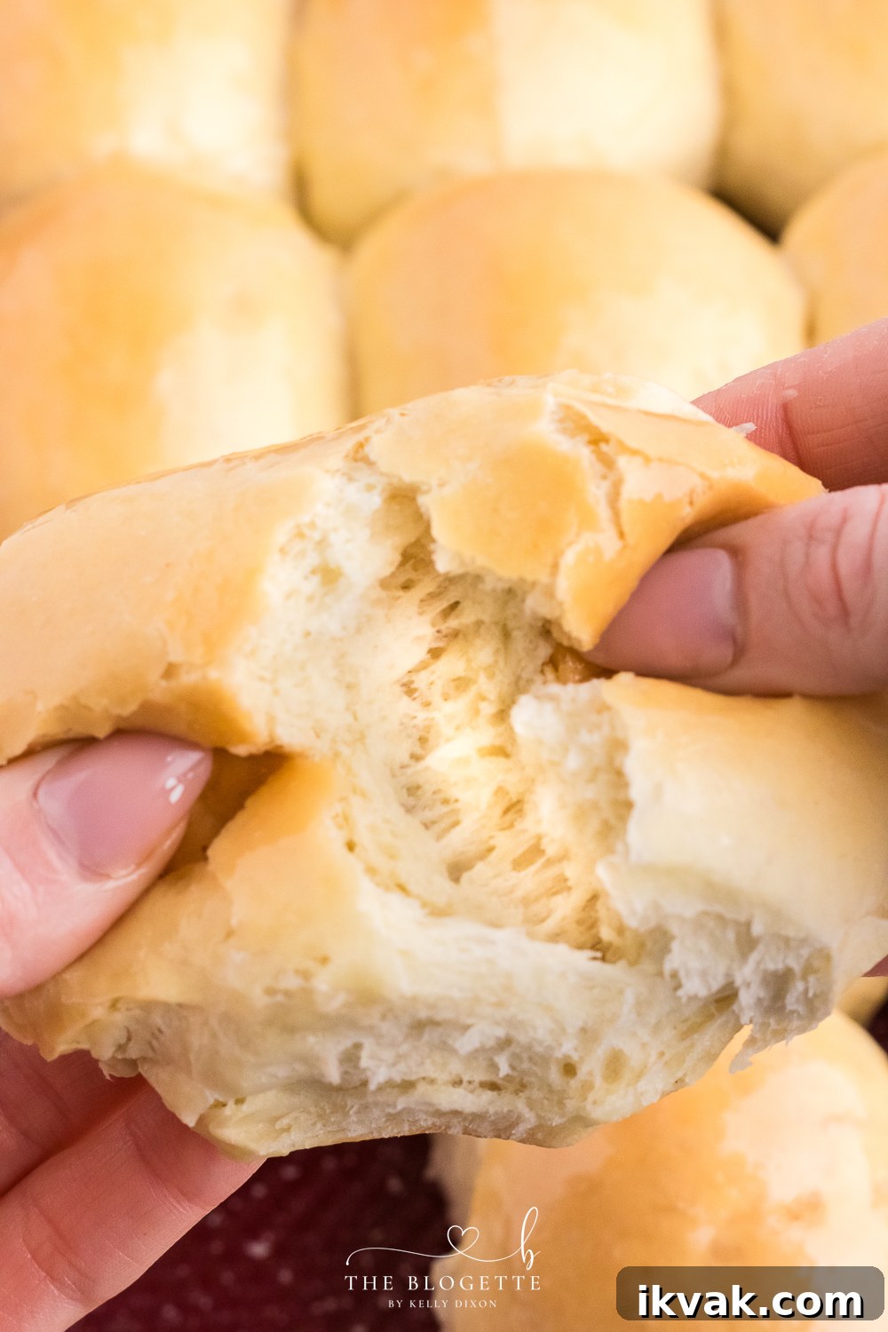 Fluffy and buttery Homemade Dinner Rolls are the perfect side for your next evening meal. They are easy to make and better than store-bought!