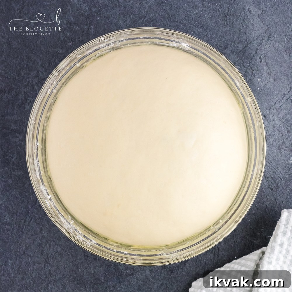 When dough has doubled in size, punch down the dough and turn out into a lightly floured surface.