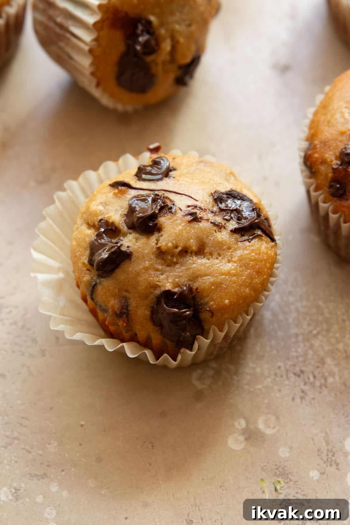 High-Protein Banana Muffins for Breakfast and Snacks 11 Gluten-free chocolate chip banana protein muffin made with protein powder.