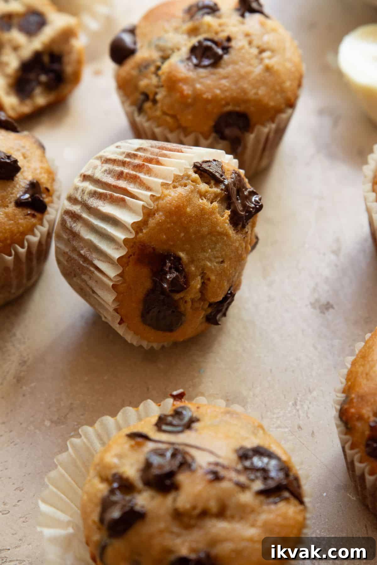 High-Protein Banana Muffins for Breakfast and Snacks 10 Banana protein muffins with chocolate chips.