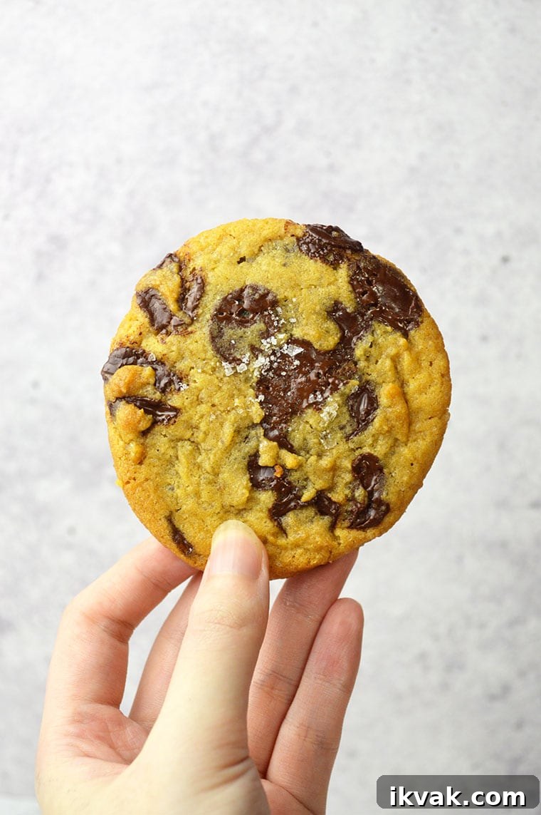 jacques torres chocolate chip cookies