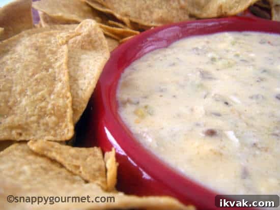 Spicy Sausage & Beer Cheese Dip in bowl