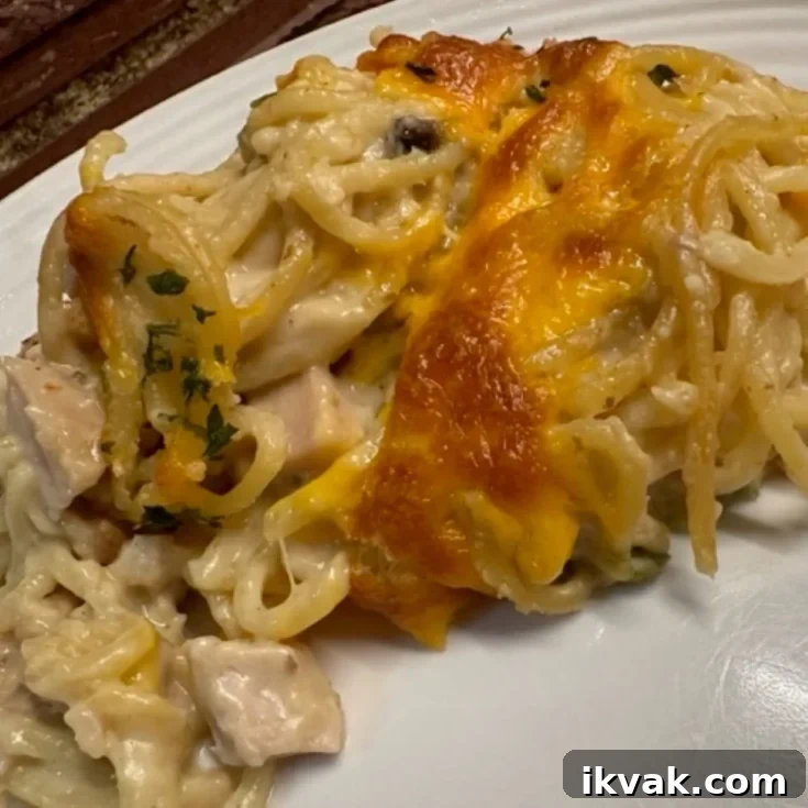 turkey tetrazzini plated