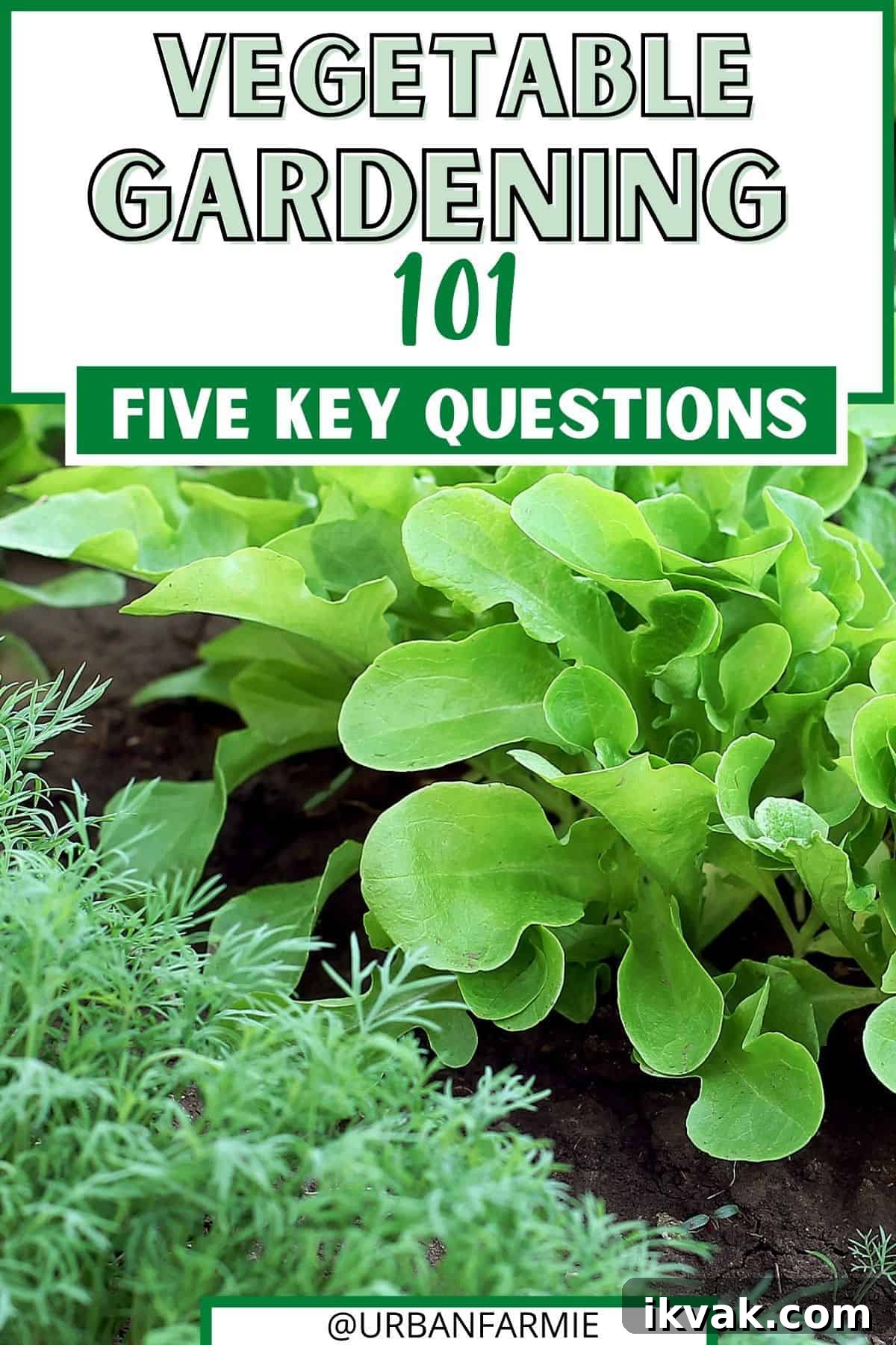 Beginner's Guide to Growing a Thriving Vegetable Garden 2 Photo of vegetable garden with text overlay saying