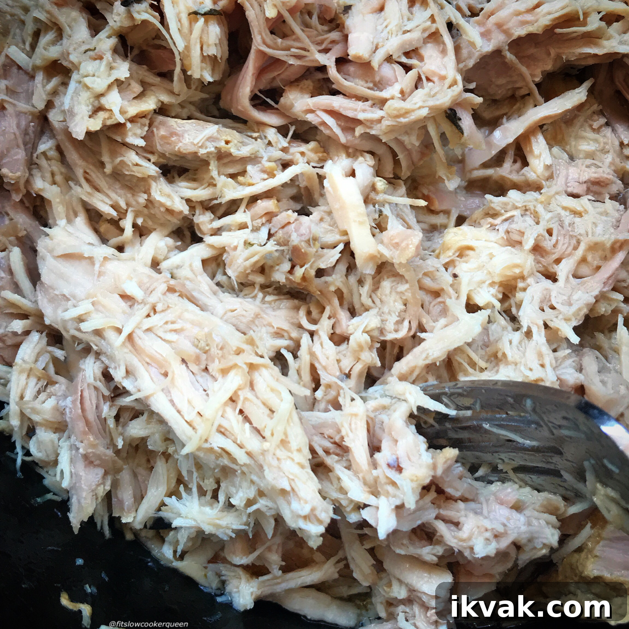 Slow Cooker Chipotle-Style Carnitas Recipe for Tender Pork 5 This copycat Chipotle carnitas recipe is just as good as the restaurants! Made in the slow cooker it's more cost affordable while being healthy too. Being low-carb, paleo, whole30, keto and more, you can use this carnitas meat in so many ways.