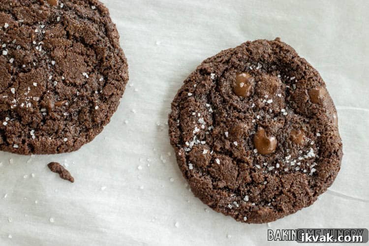 chocolate cookies on the tray and out of the oven