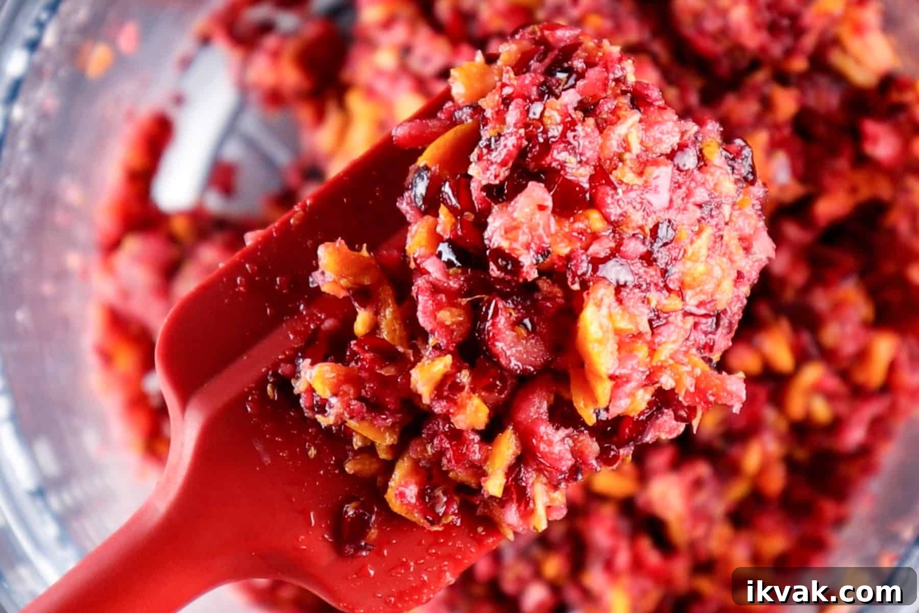 Zesty Cranberry Relish Recipe for Holiday Tables 6 cranberries relish, freshly processed and chunky.