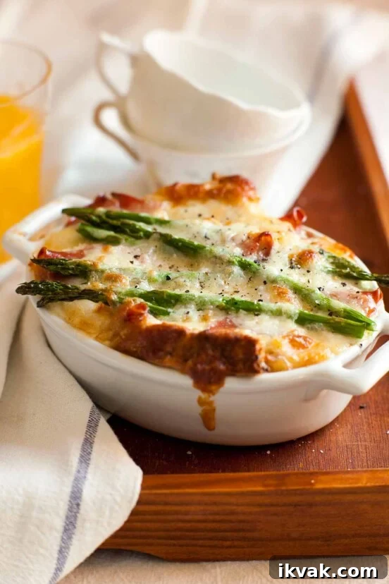 A white oval casserole filled with asparagus, egg and cheese strata--bread, Fontina cheese, eggs, prosciutto, and asparagus
