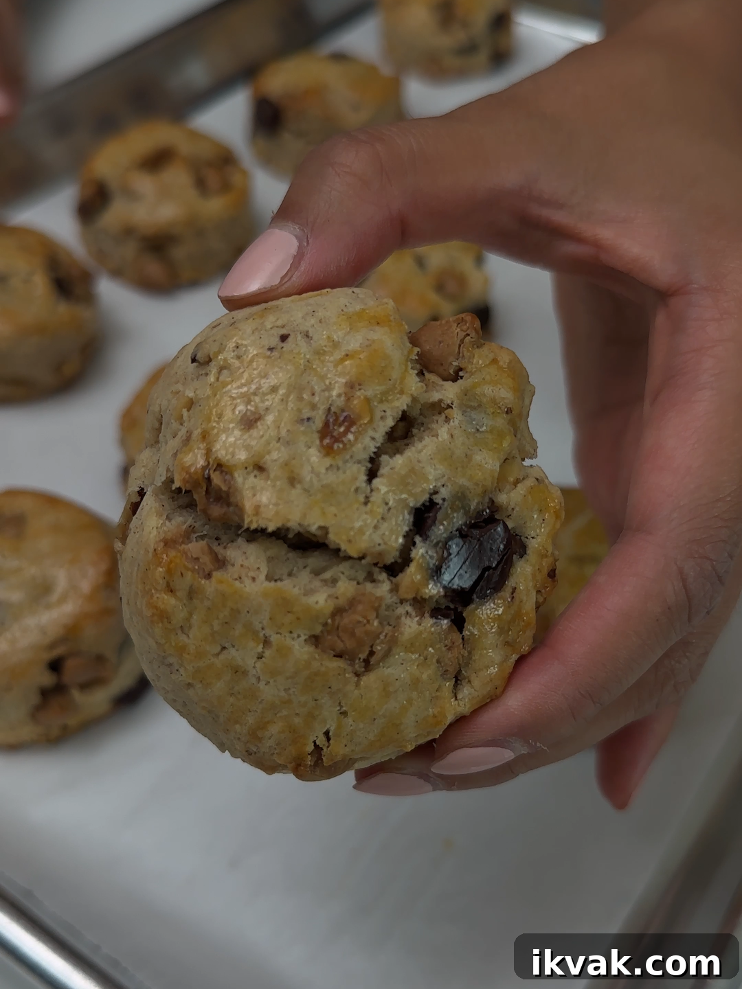 Fresh scones on a plate