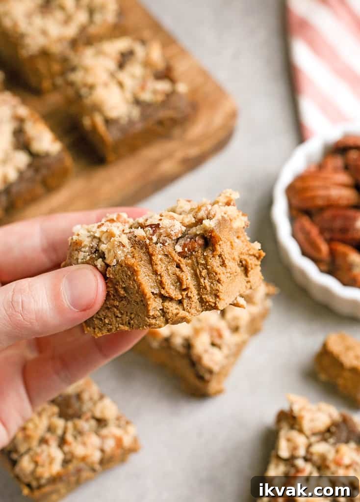 These Paleo Pumpkin Pie Crumb Bars are thick, spiced just right, and so delicious! With just a few ingredients these bars can be whipped up. They're gluten free, dairy free, naturally sweetened, and low FODMAP.