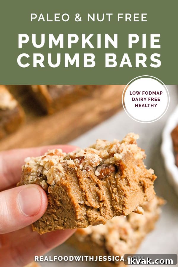 These Paleo Pumpkin Pie Crumb Bars are thick, spiced just right, and so delicious! With just a few ingredients these bars can be whipped up. They're gluten free, dairy free, naturally sweetened, and low FODMAP.