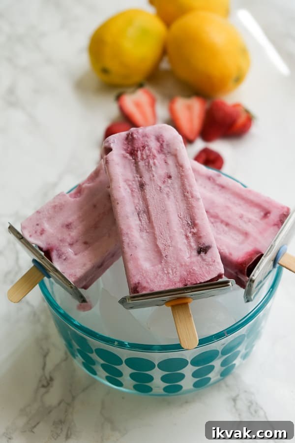 Image for German Rote Grütze Ice Pops
