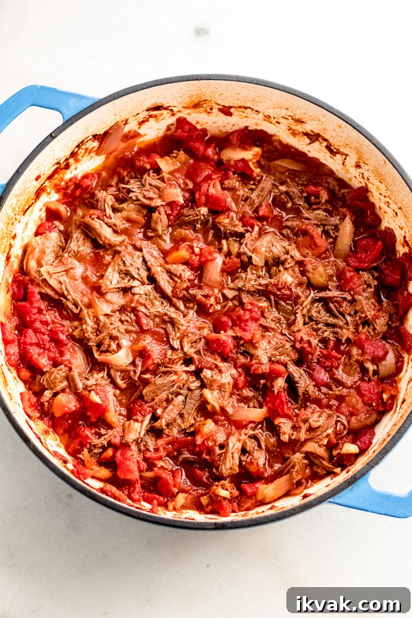 Shredded beef with saucy tomato goodness