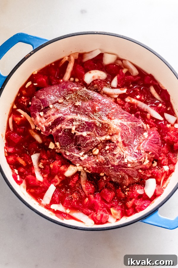 Beef + other ingredients in a pan, ready for the oven