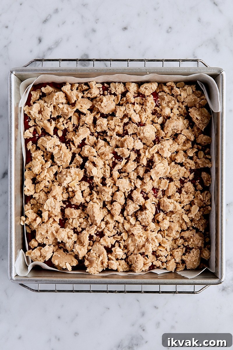 Chewy Raspberry Crumble Bars with Oat Crust 15 Crumble topping sprinkled over raspberry filling