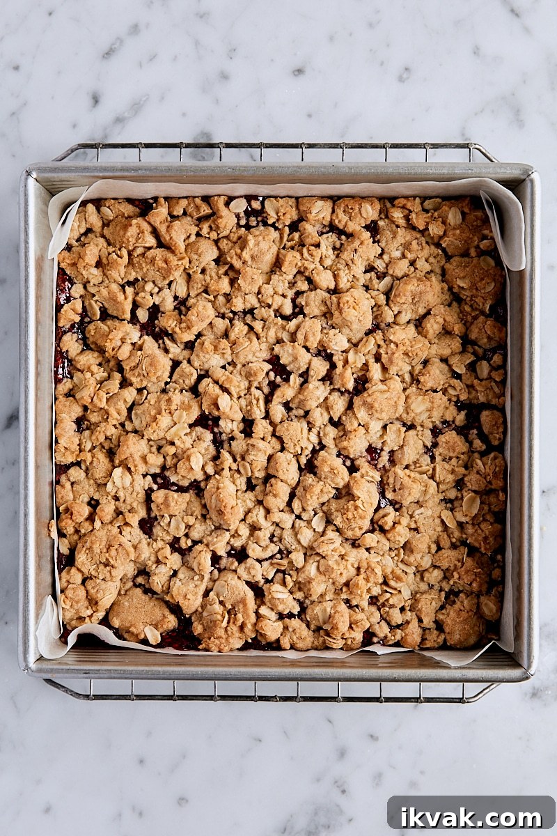 Chewy Raspberry Crumble Bars with Oat Crust 16 Baked raspberry crumble bars in parchment-lined baking pan