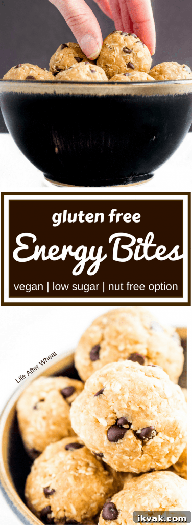 Gluten-Free Energy Bites with Oats, Dates & Almonds 5 Recipe graphic