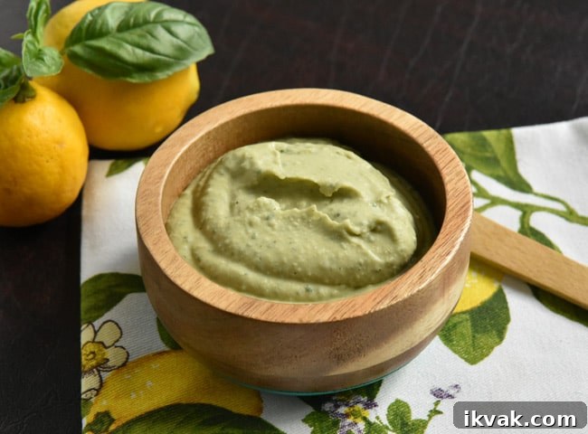 White Bean Hummus with Basil, Pine Nuts & Meyer Lemon 3 White Bean Hummus Style Dip with no toppings added