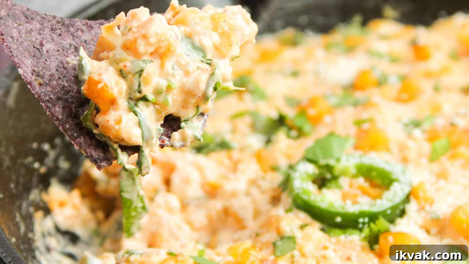 25 Creative Ways to Use Dip Recipes Beyond the Bowl 3 Close-up of a blue corn chip dipped in a creamy cheese and vegetable mixture, garnished with cilantro and sliced jalapeños.