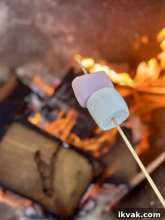 Classic S'mores Recipe: Gooey Chocolate and Toasted Marshmallows 3 Toasting marshmallows