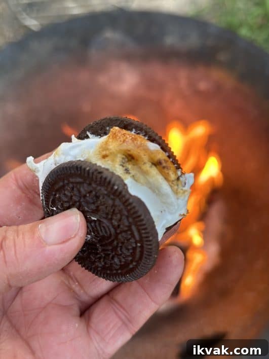 Classic S'mores Recipe: Gooey Chocolate and Toasted Marshmallows 4 Assembled s'mores