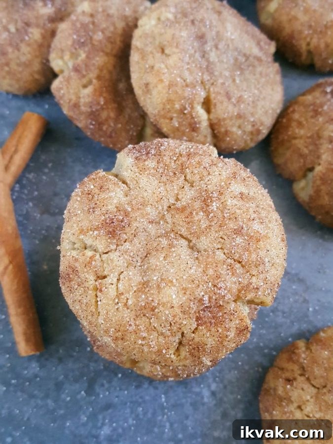 Snickerdoodles without Cream of Tartar: Soft Cinnamon Cookies 2 Snickerdoodle Cookies without Cream of Tartar - soft and chewy snickerdoodle cookies ready in less than 30 minutes