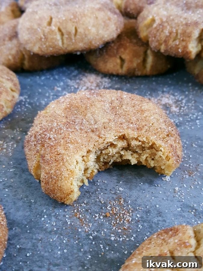 Snickerdoodles without Cream of Tartar: Soft Cinnamon Cookies 4 Close up of snickerdoodle cookie - cinnamon sugar coating