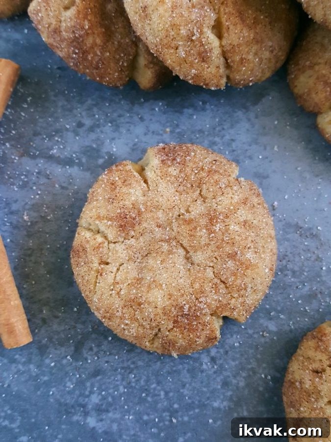 Snickerdoodles without Cream of Tartar: Soft Cinnamon Cookies 5 Freshly baked snickerdoodles cooling on a rack