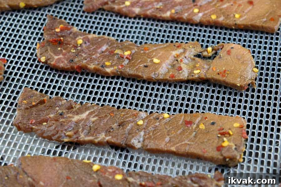 Spicy Sweet Jerky on dehydrator trays