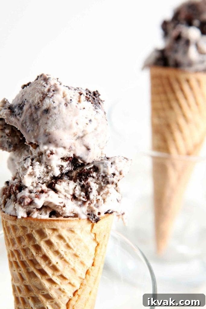 No Churn Fudge Brownie Ice Cream Recipe 5 Close up of two ice cream cones in glasses