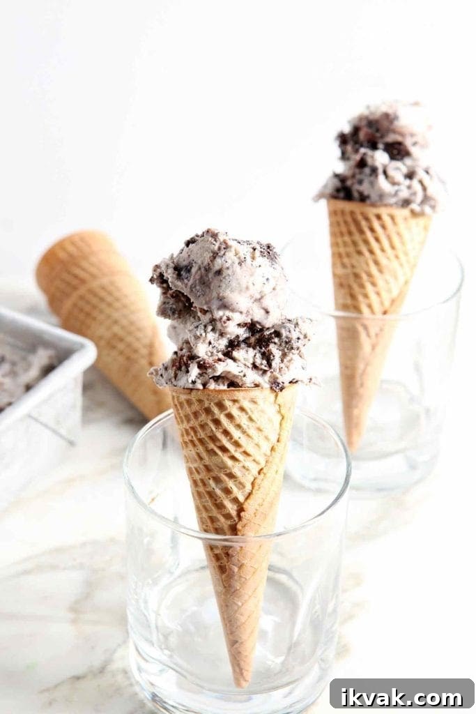 No Churn Fudge Brownie Ice Cream Recipe 6 Two cones of No Churn Guinness Brownie Ice Cream are shown in glasses