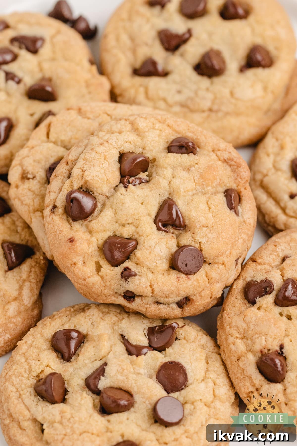 Thick, chewy chocolate chip cookies ready to eat.