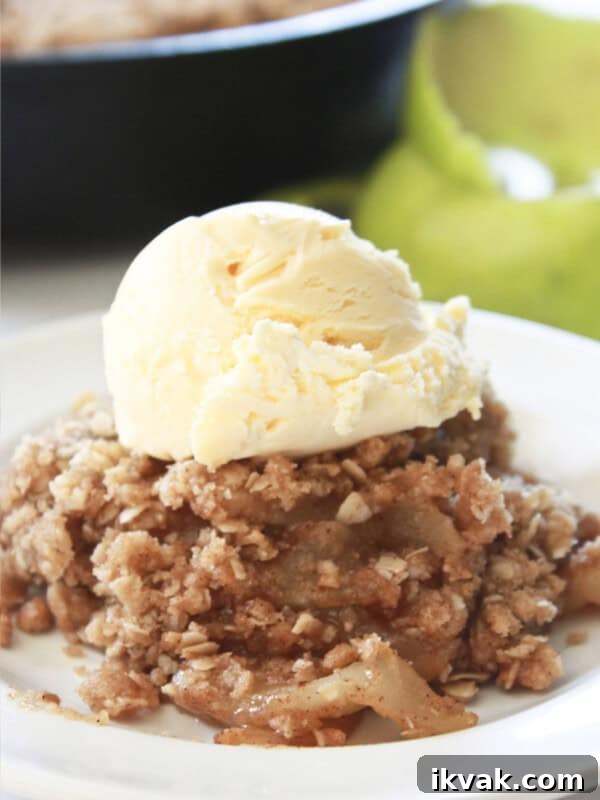 A serving of apple crisp skillet with vanilla ice cream.